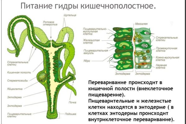 Как восстановить пароль на кракене