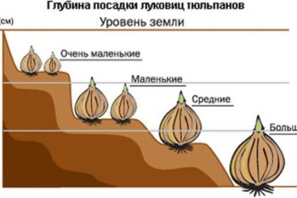 Кракен наркологический