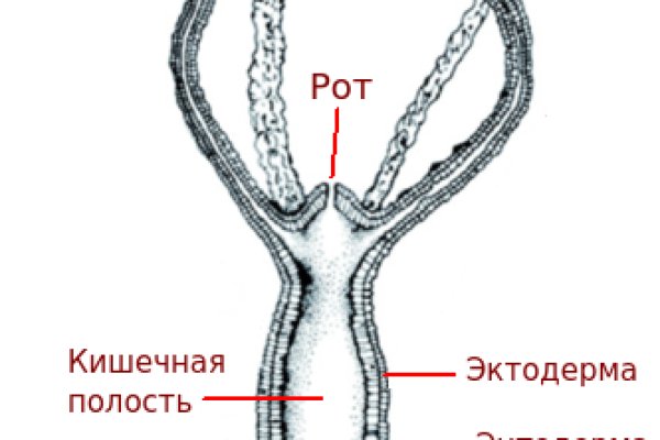 Почему не закрыт сайт кракен