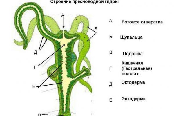 Зеркало кракен kr2web in