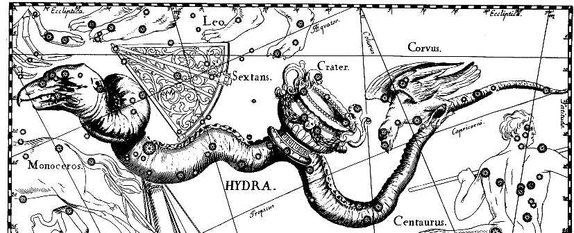 Kraken рабочий